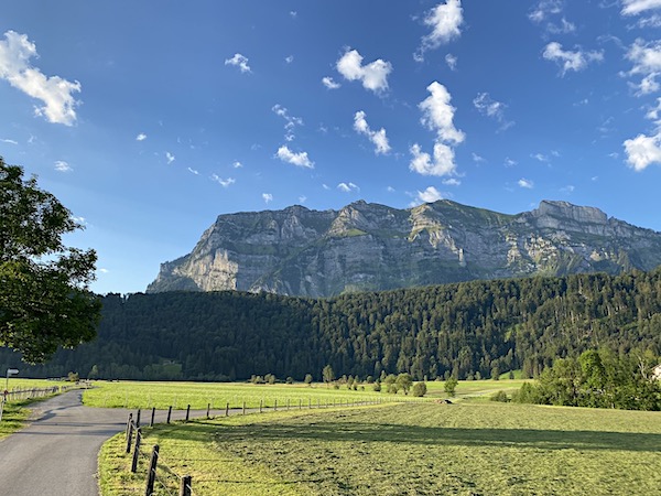 Bizau