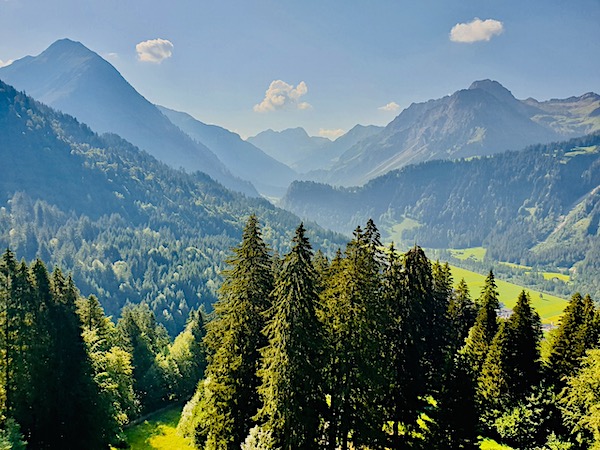 Bregenzer Wald