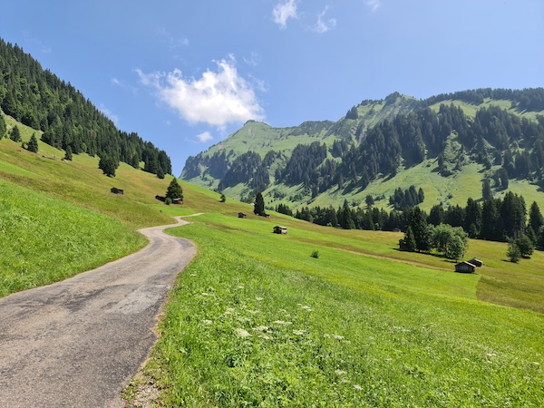 Bregenzer Wald