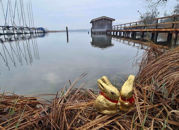 Image to 2019 - Oster-Tango-Tage am Chiemsee