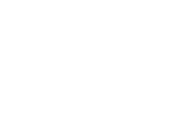Logo | Bailando-Reisen